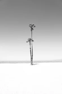 Two - Fineart photography by Roman Becker
