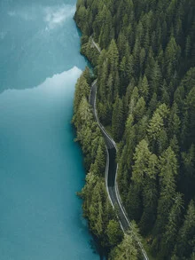 Nature’s Orchestra - Fineart photography by Fabian Huebner