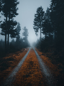 Fabian Huebner, Museum Roads