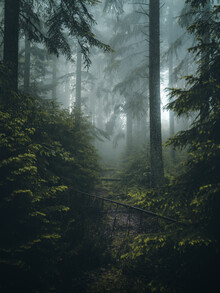 Fabian Huebner, Stille Stimmung