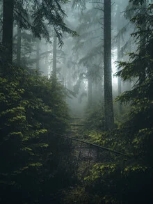 Photo art by Fabian Huebner: calm forest with soft clouds and mist
