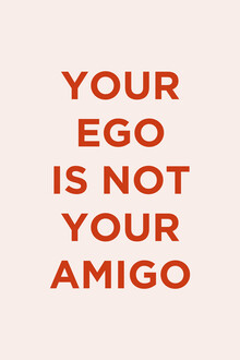 Typo Art, Your Ego Is Not Your Amigo rose (Germany, Europe)