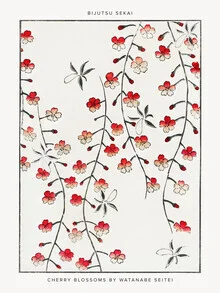 Watanabe Se: Kirschblütenillustration - fotokunst von Japanese Vintage Art