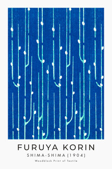 Japanese Vintage Art, Blue and white Furuya Korin print from Shima-Shima - Germany, Europe)