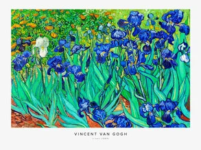 Vincent Van Gogh: Irises - Fineart photography by Art Classics