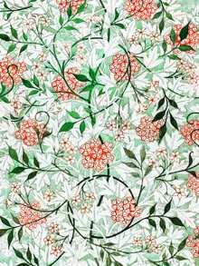 Illustration by Art Classics: floral design with jasmine flowers in soft colors