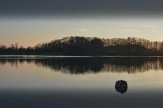Tranquil lakeside scene with soft colors and reflective water.