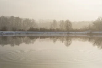 Calm water landscape with trees gently reflecting by the lakeside