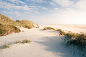 Oliver Henze, Beach landscape on Amrum (Germany, Europe)