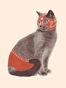 Illustration by Florent Bodart: playful cat in modern style