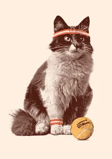 Wall art by Florent Bodart: playful cat playing tennis in retro style