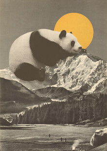Florent Bodart, Giant Panda Nap (Germany, Europe)