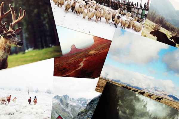 Jeu de cartes postales Into the Wild par Kevin Russ