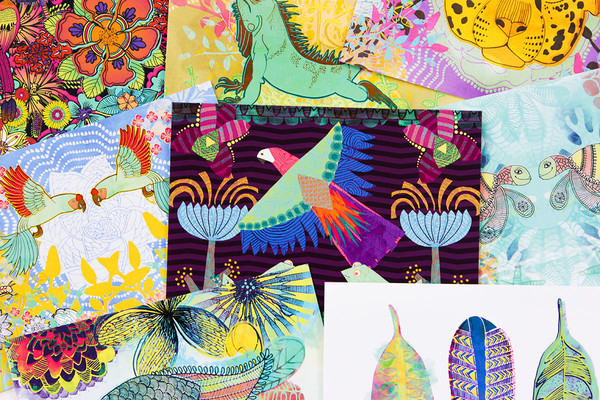 Set de cartes postales Jungle Fever par Catalina Villegas