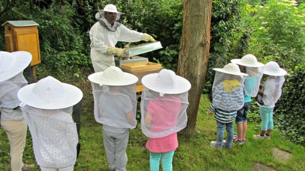 Espace ami des abeilles et des insectes