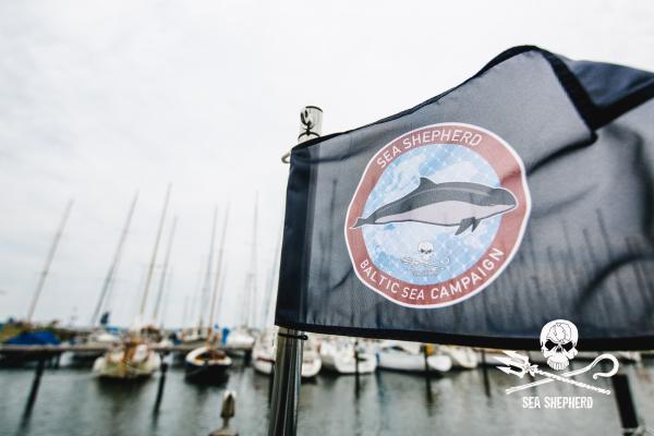 Protect endangered Harbor Porpoises